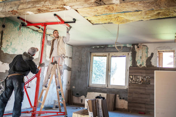Best Commercial Insulation in Inverness, FL