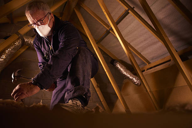 Best Specialty Insulation in Inverness, FL